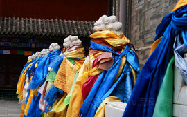 杜尔伯特风味(统建路三店)