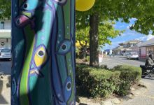 Salt Spring Island's  Saturday Market购物图片