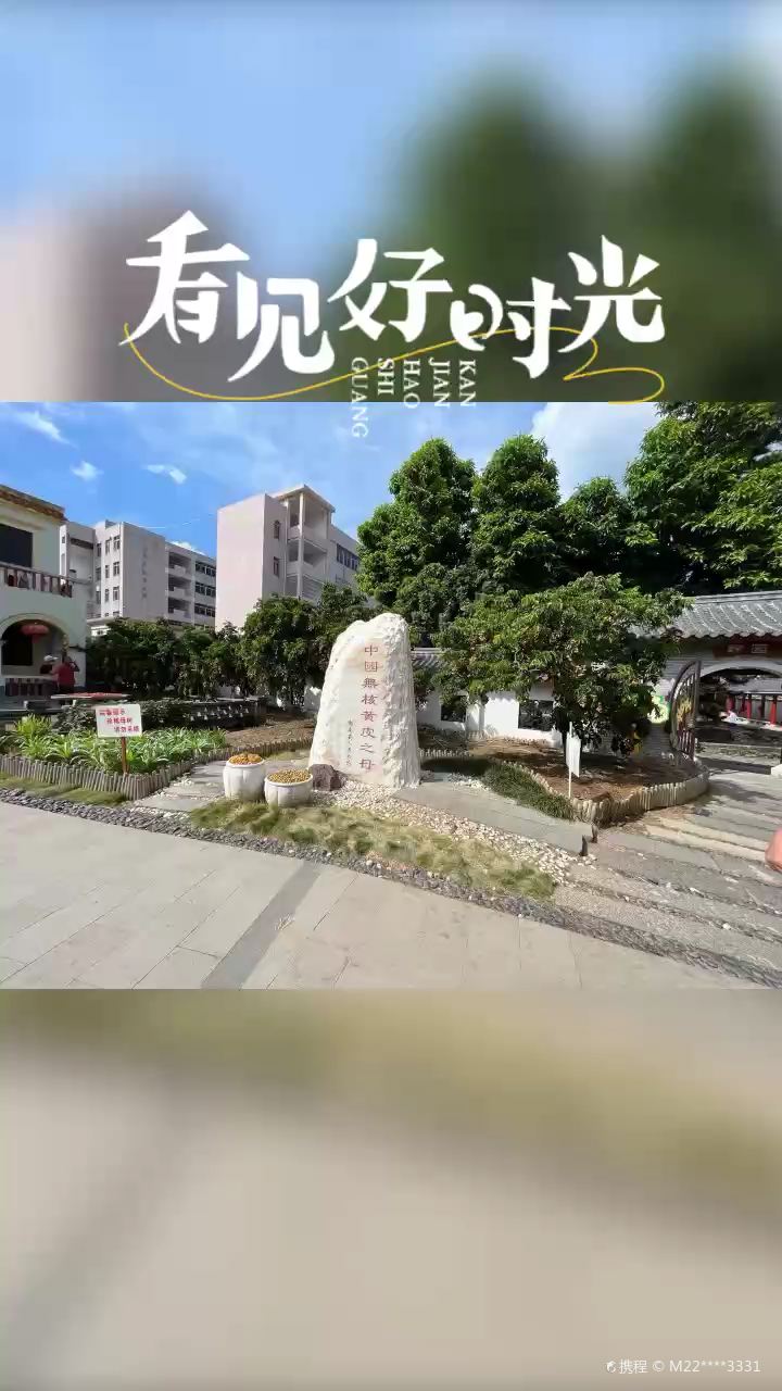 这个夏天，郁南无核黄皮之乡欢迎您