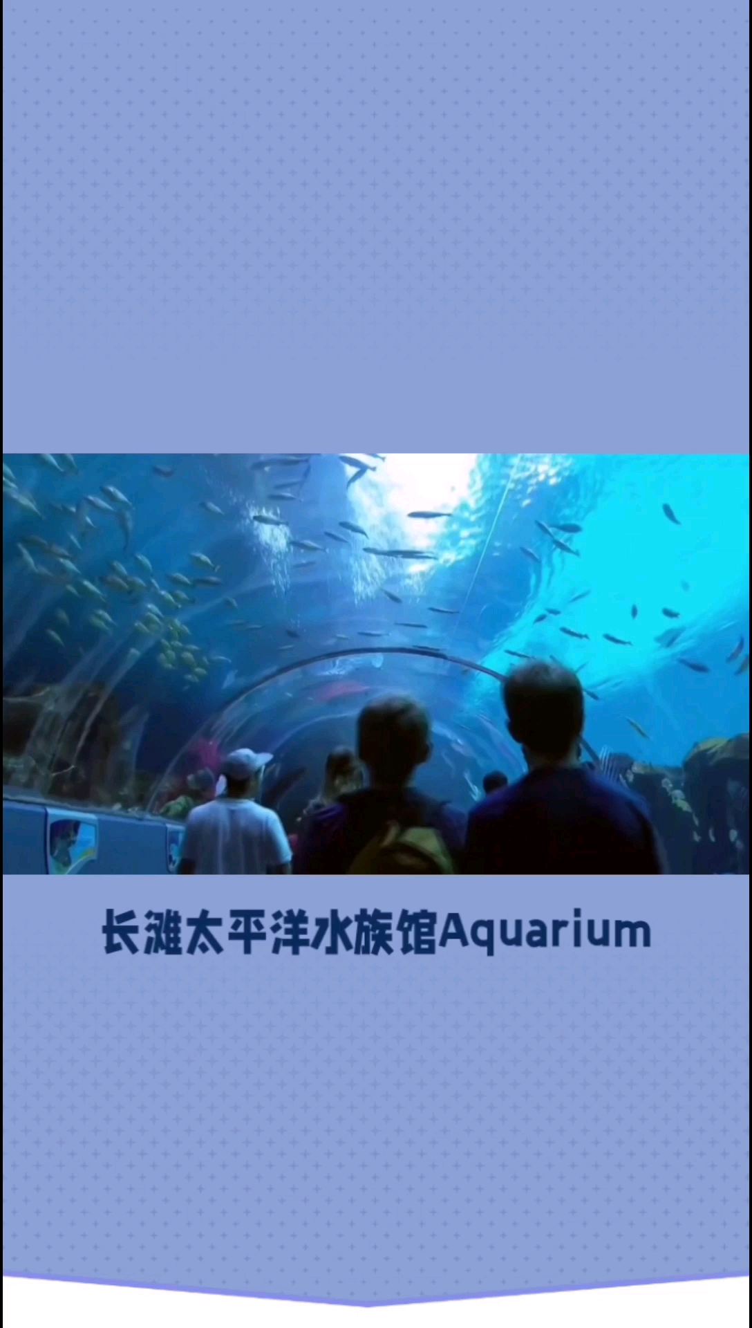 长滩太平洋水族馆-探索海洋生物的奇妙世界