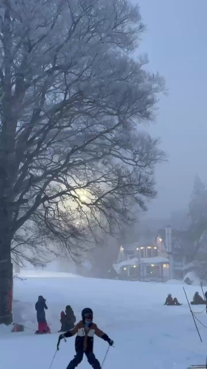 藏王滑雪场