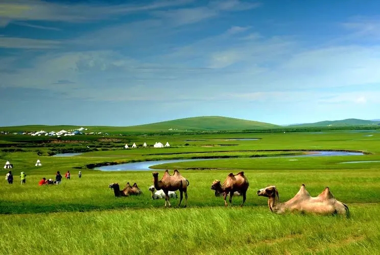 中国最美草原——呼伦贝尔大草原