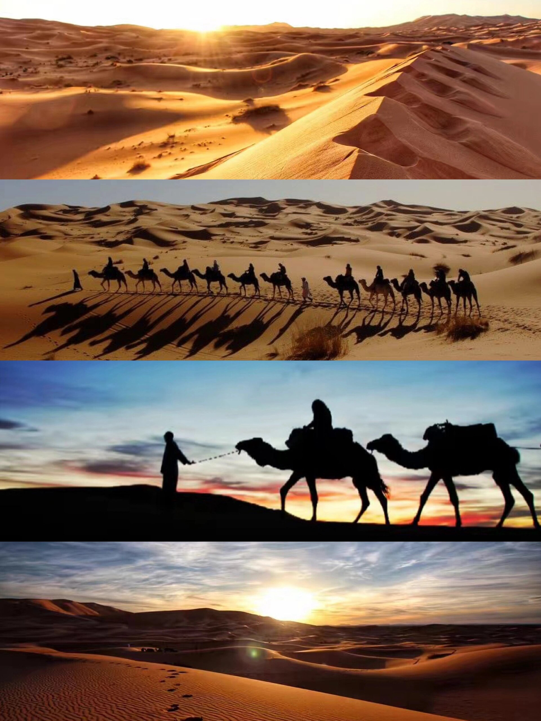 沙漠之王：撒哈拉沙漠