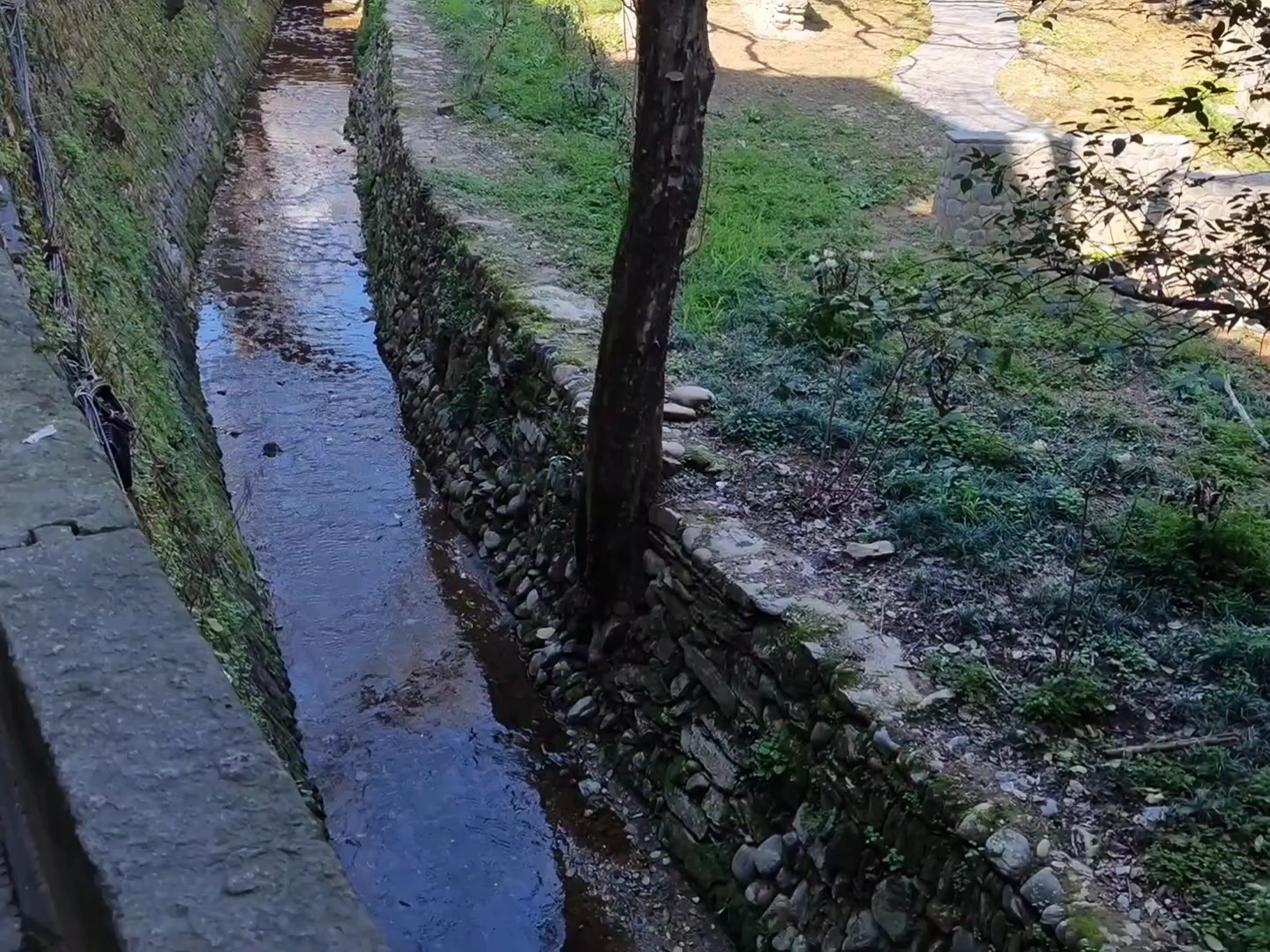 昌溪古镇的水口称得上是古镇一绝，溪水两旁随处可见古宅古桥古亭