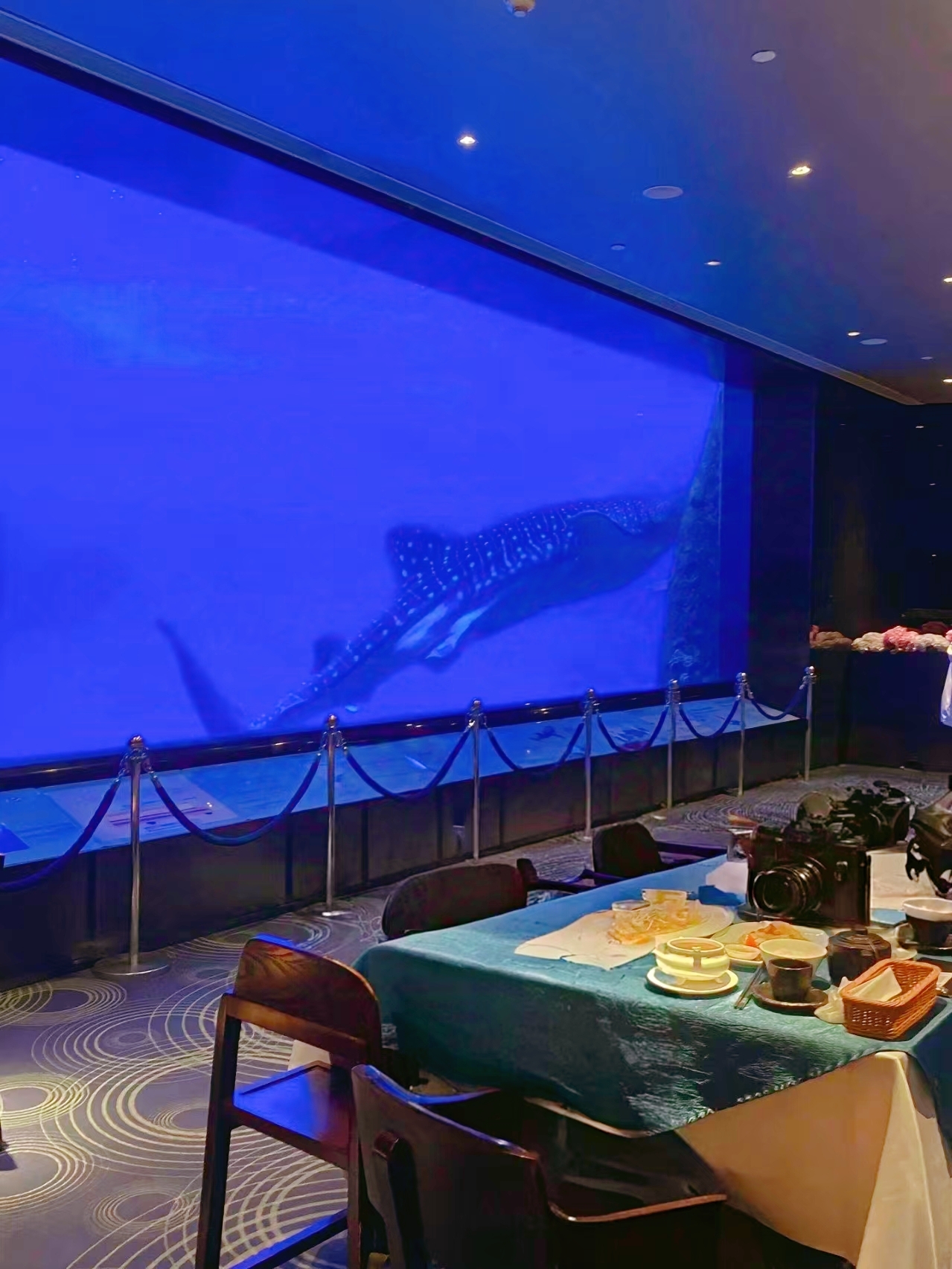 长隆海底餐厅(长隆海洋王国店)