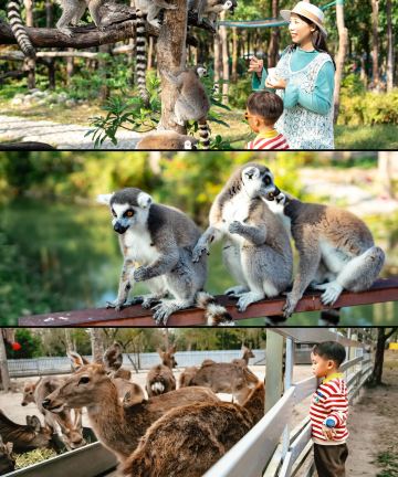 千里走单骑·浮溪畔(罗浮山店)图片