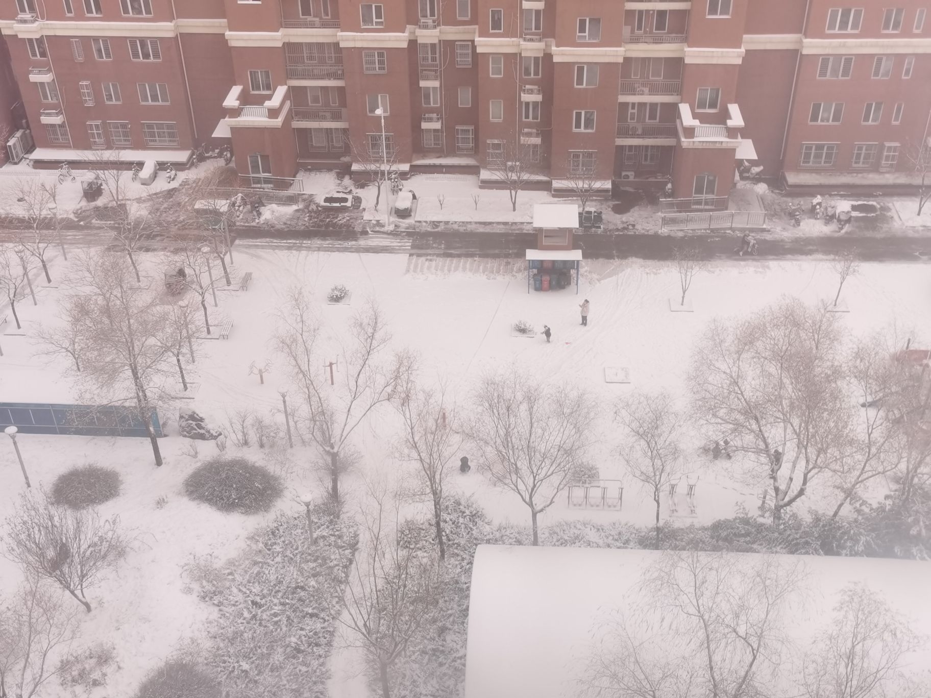 2023年的第一场雪，虎宝宝摸的第一场雪