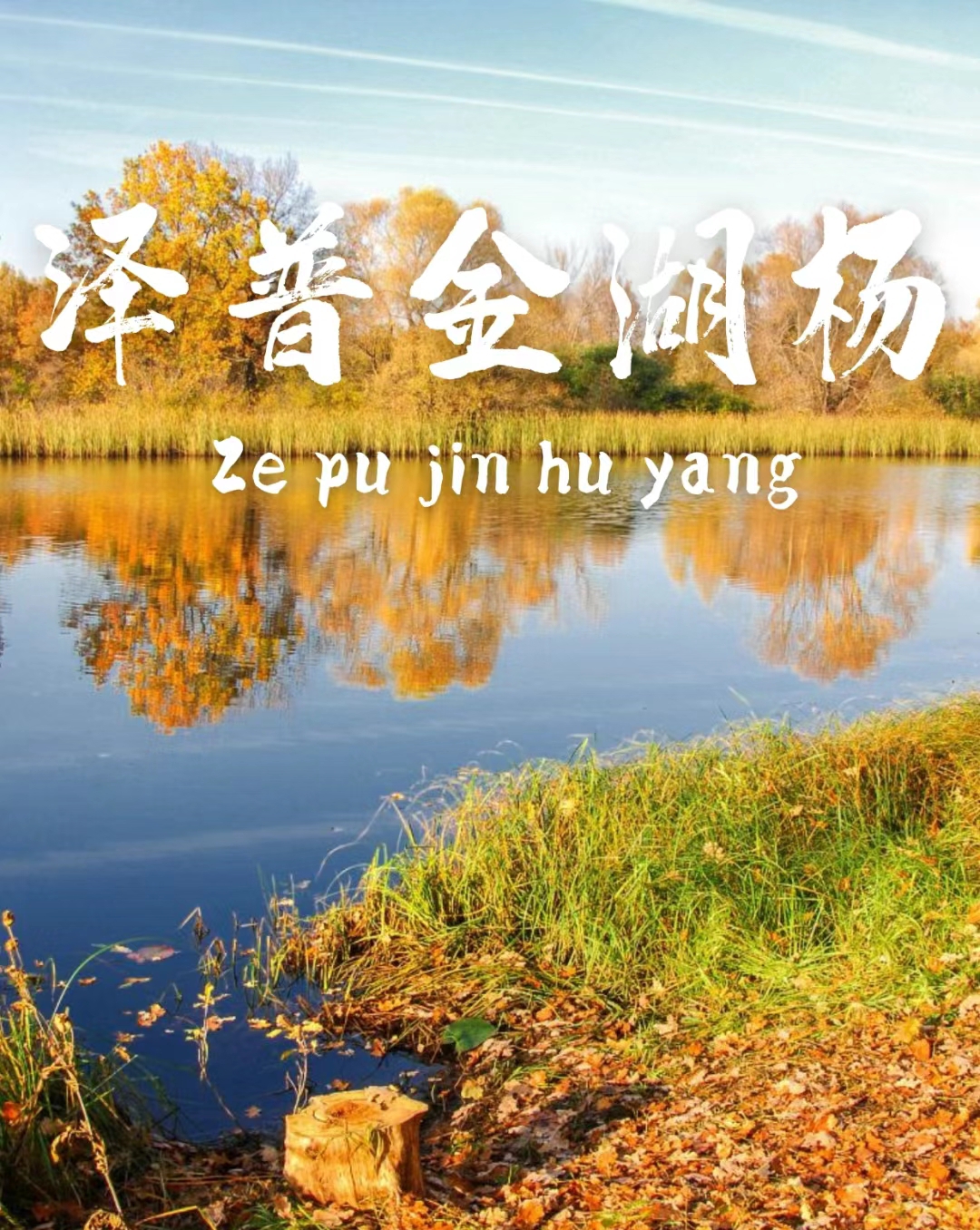 南疆之旅泽普金湖扬国家森林公园！