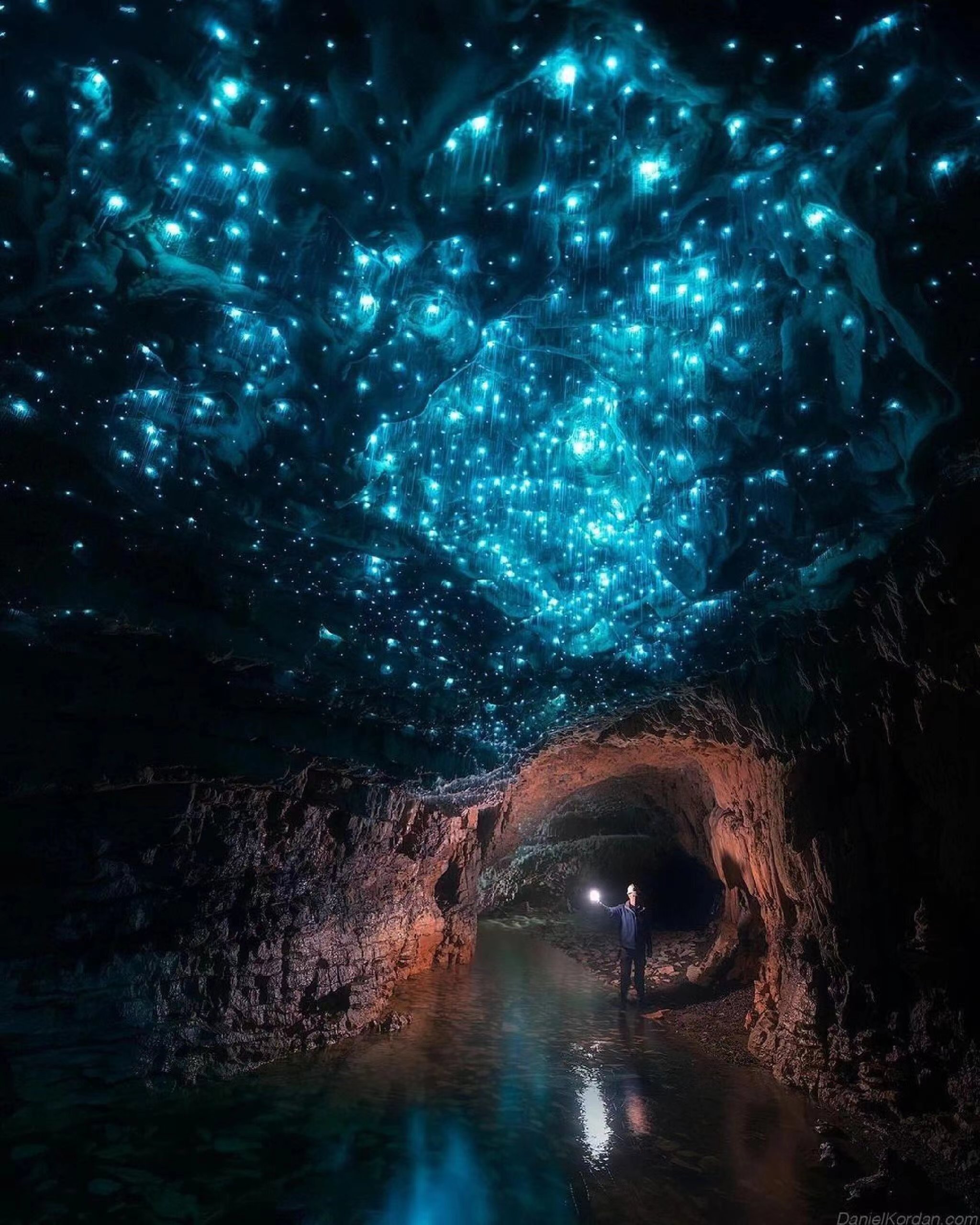 新西兰超美的萤火虫洞