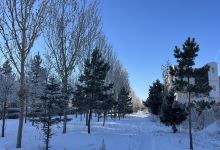 诺敏塔拉奶茶馆(锦都会店)美食图片