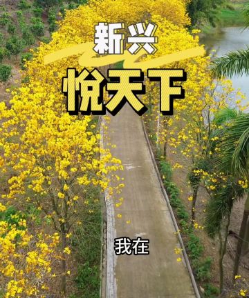 新兴悦天下温泉酒店图片