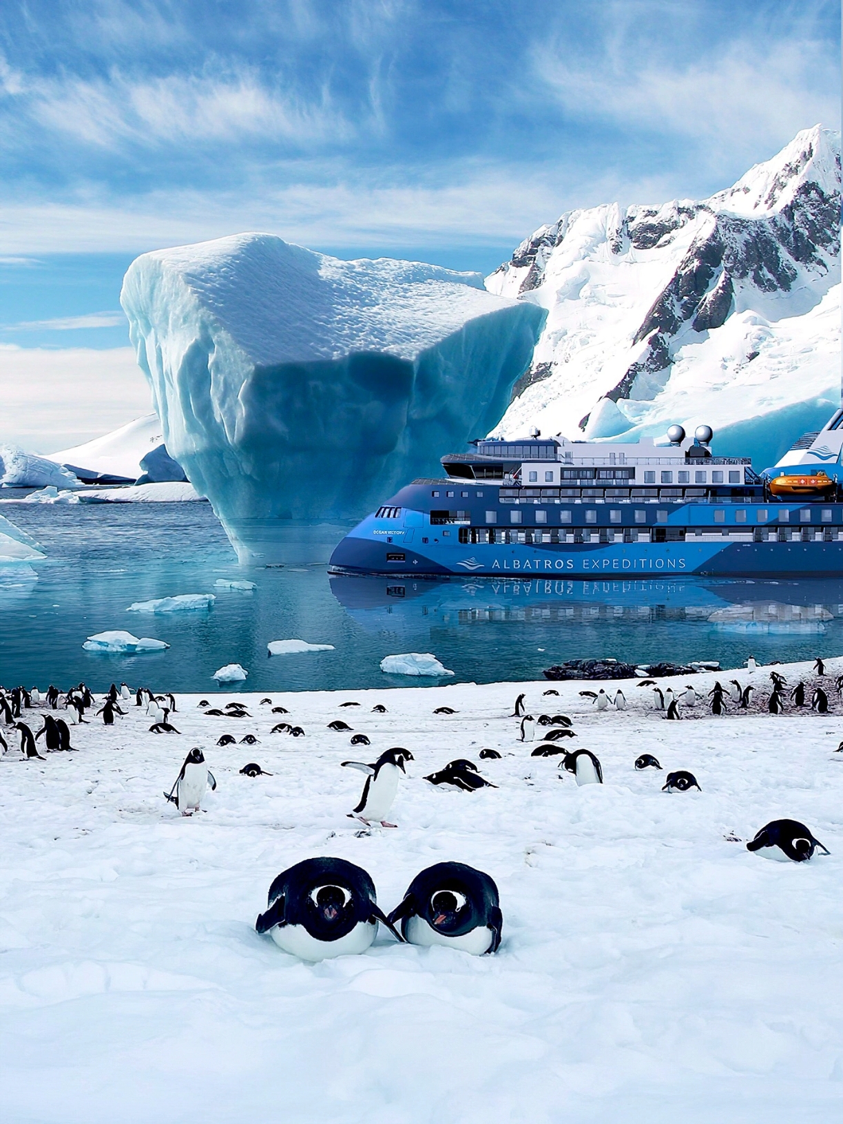阿根廷-南极16天跨年offer‼️顶奢邮轮中文团