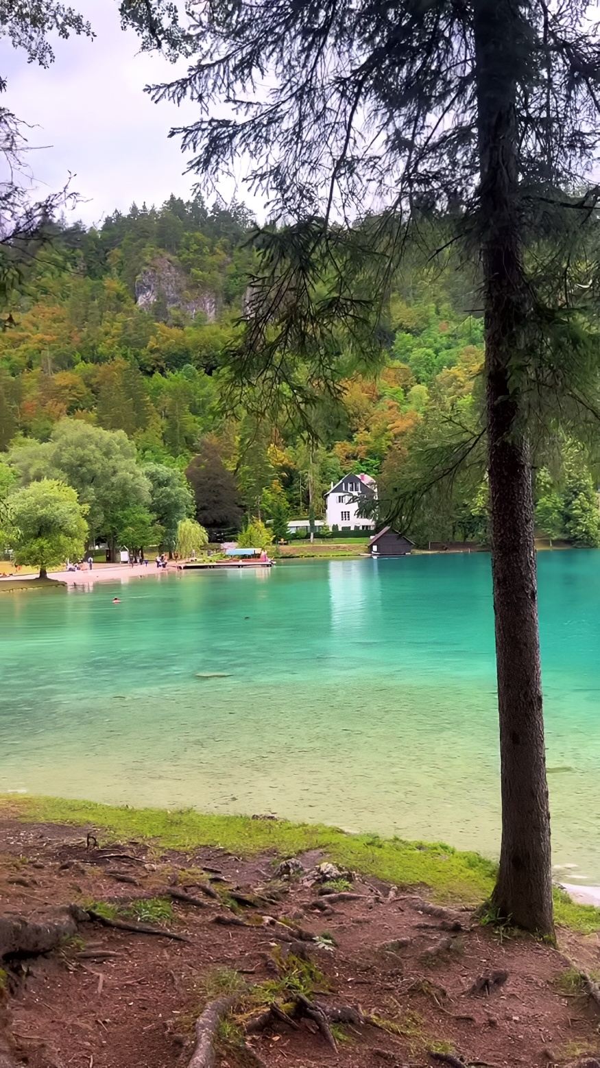 📍Lake Bled, Slovenia 🇸🇮