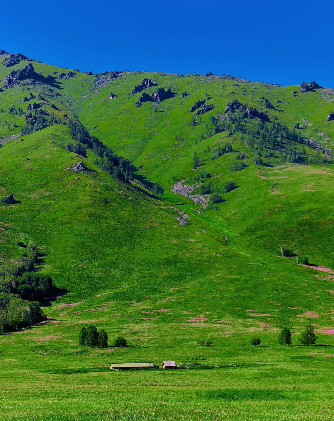新疆深山一个只有12户牧民的原始村落。