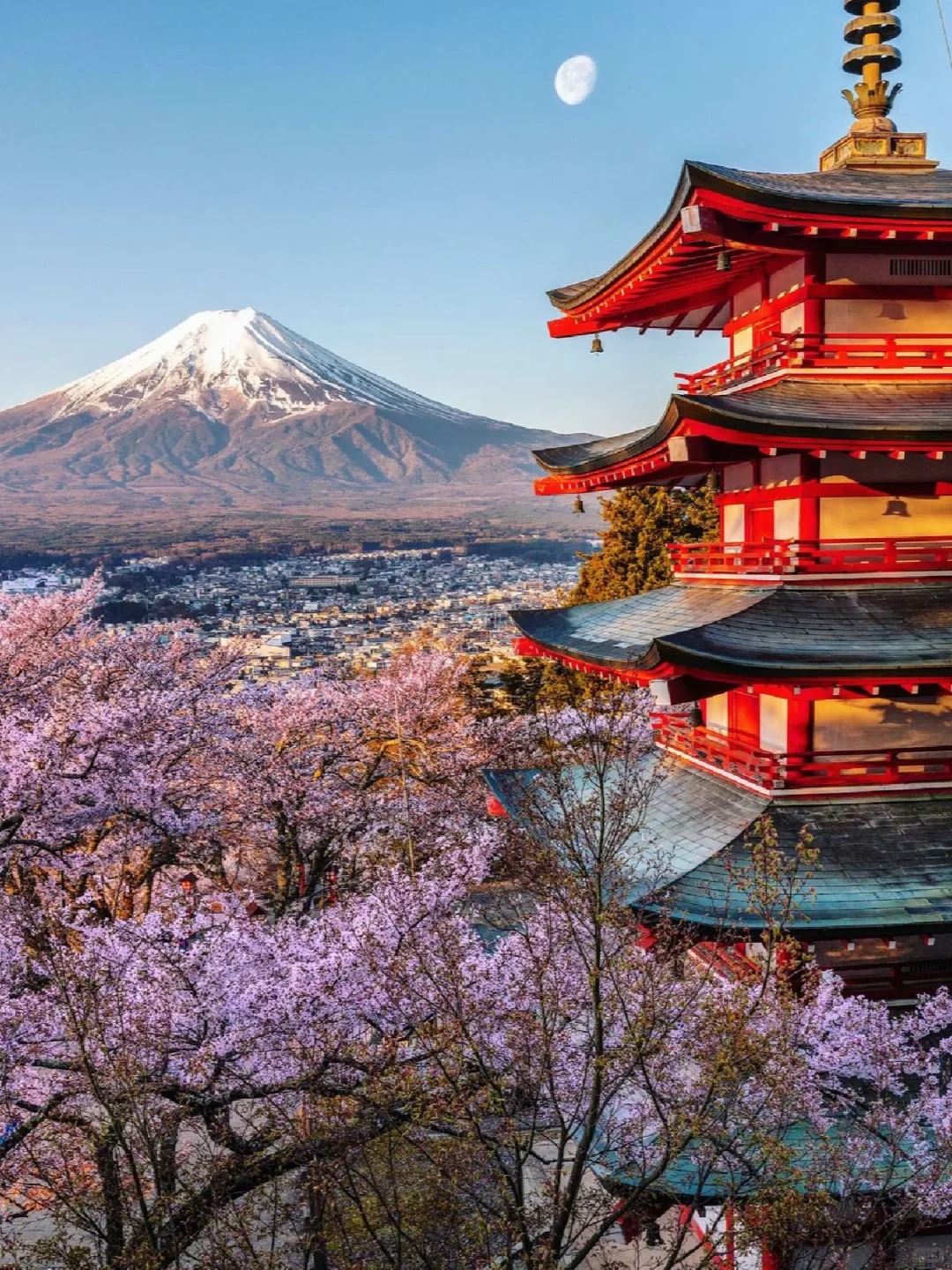 官方❗️富士山樱花节延期啦🌸这周能去