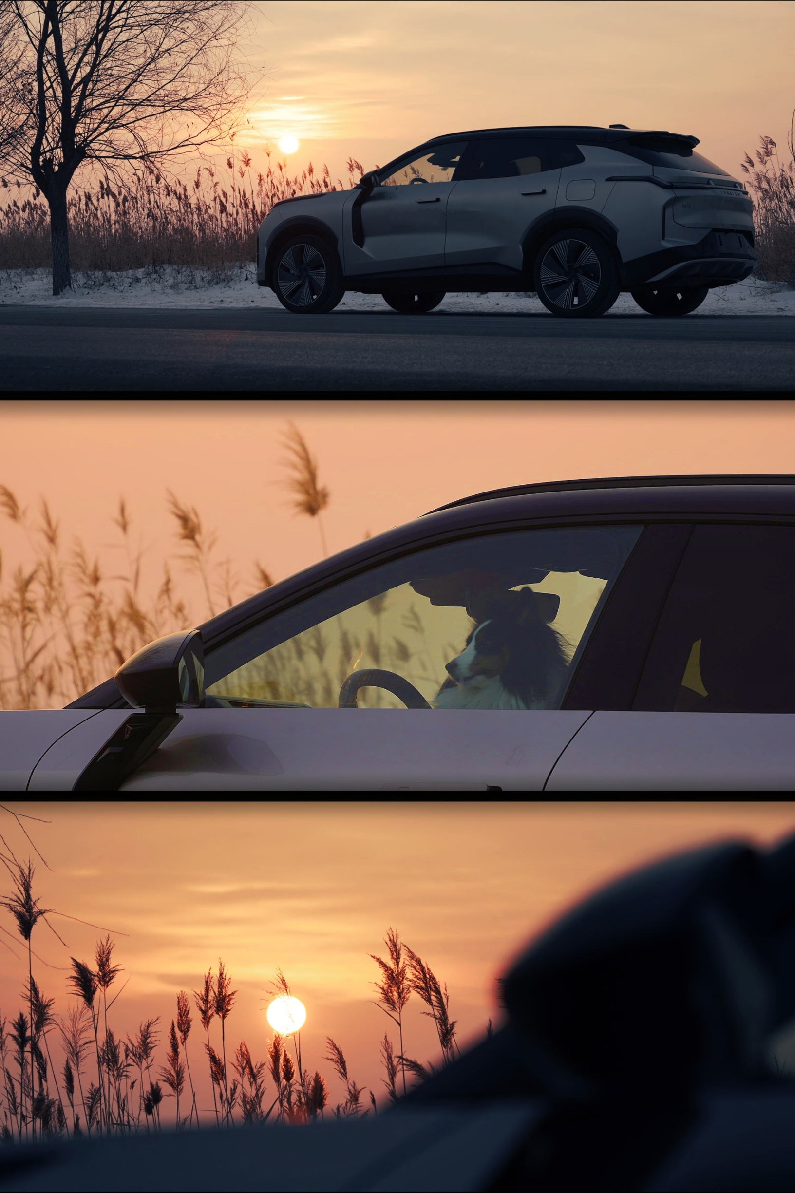 盘锦夕阳下，我拍到了狗子的车生照片