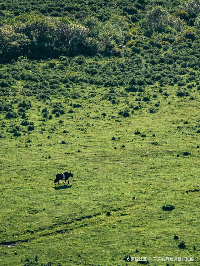 分水岭观景台游玩攻略来啦_超全干货