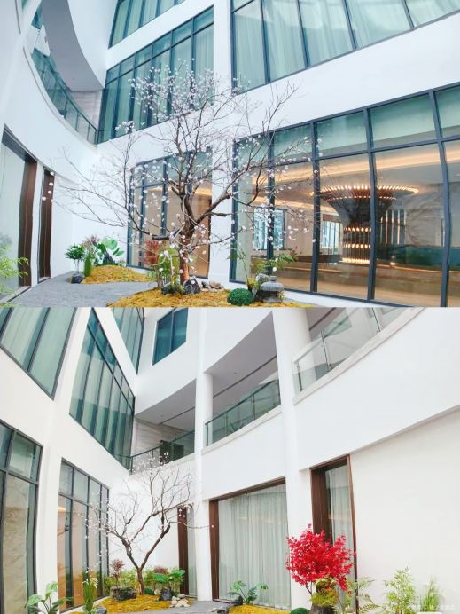 Gallery 4