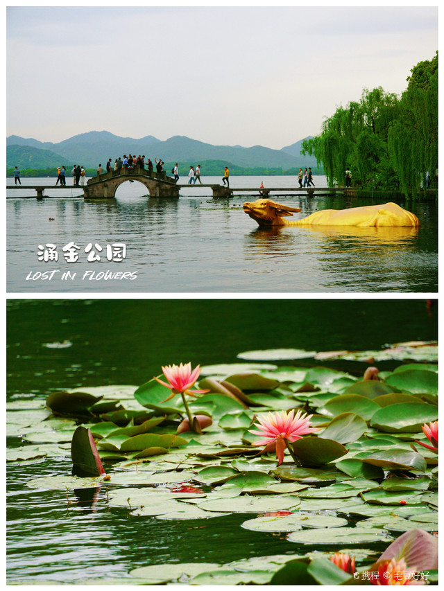 杭州新增一大批公园绿地可露营、健身、市集!有你家附近吗西湖娱乐城- 西湖娱乐城官方网站- 西湖娱乐城APP