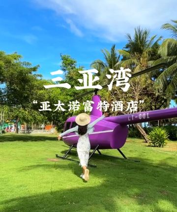 三亚湾亚太雅高诺富特酒店图片
