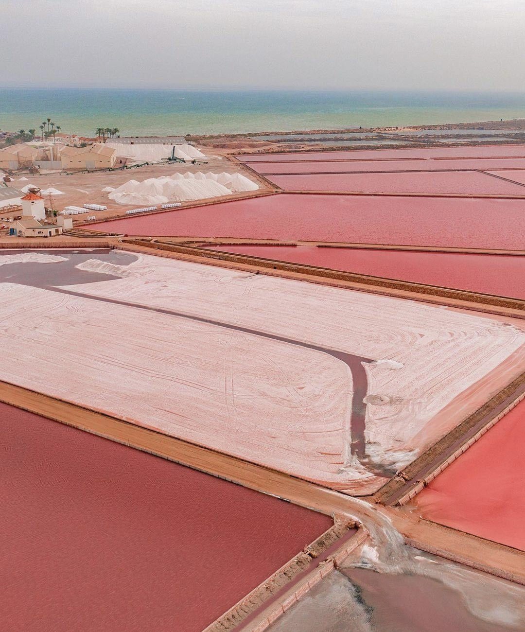 西班牙阿里坎特的粉红湖，是心动的颜色！