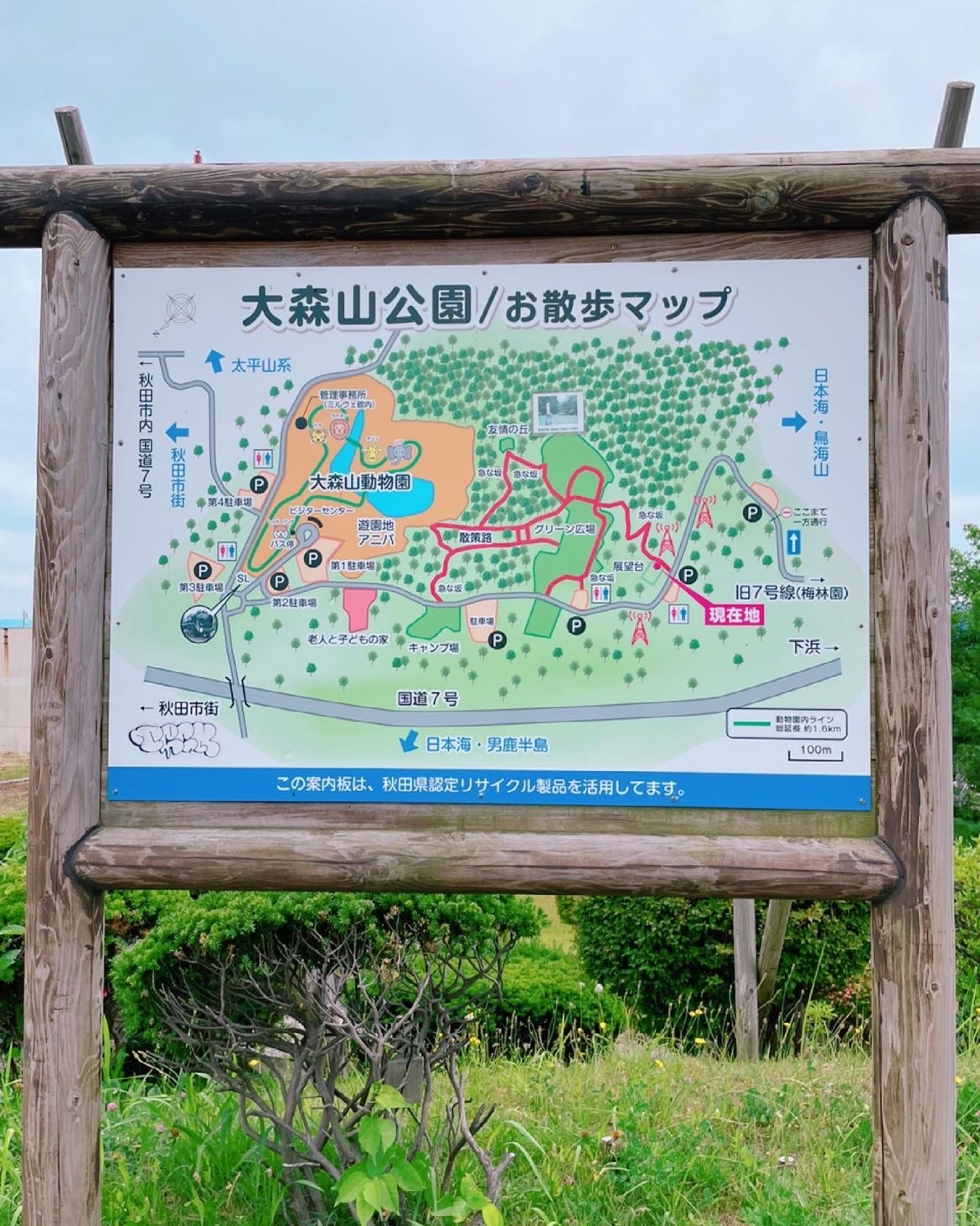 🍁大森山公园：秋田市的自然绿洲与家庭乐园🌳