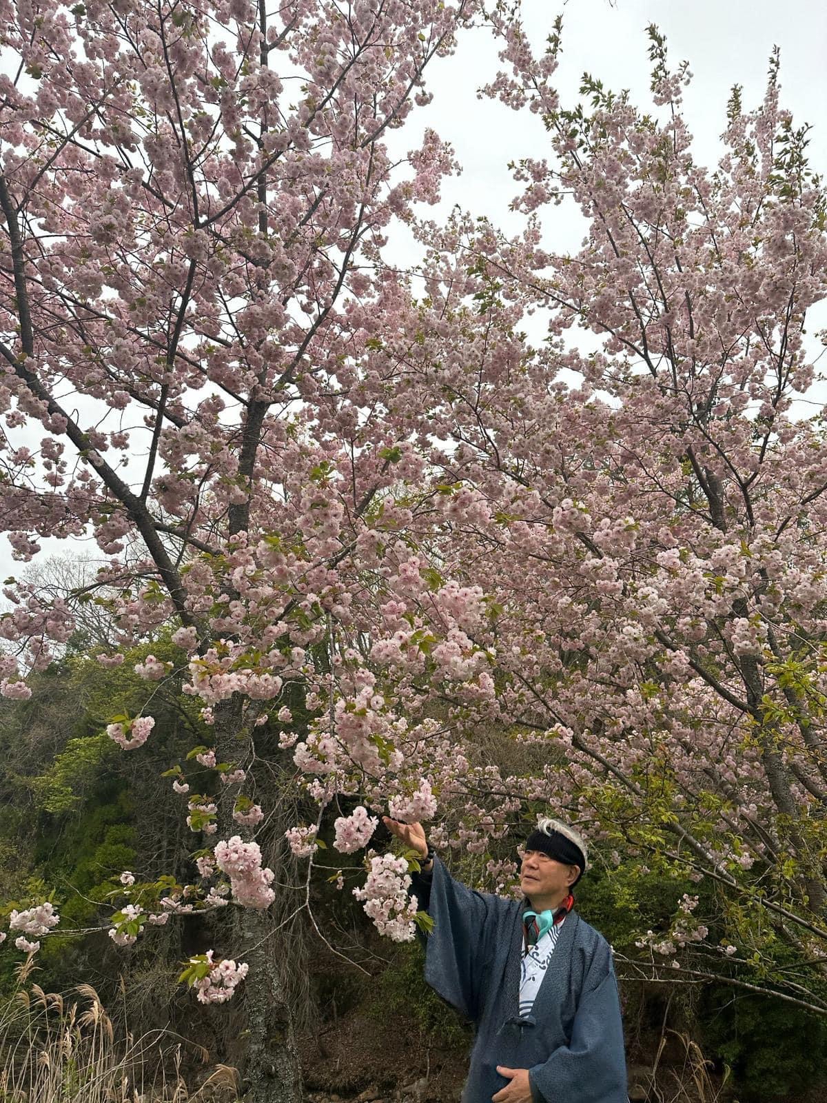 蒋勋先生随笔——熊本游