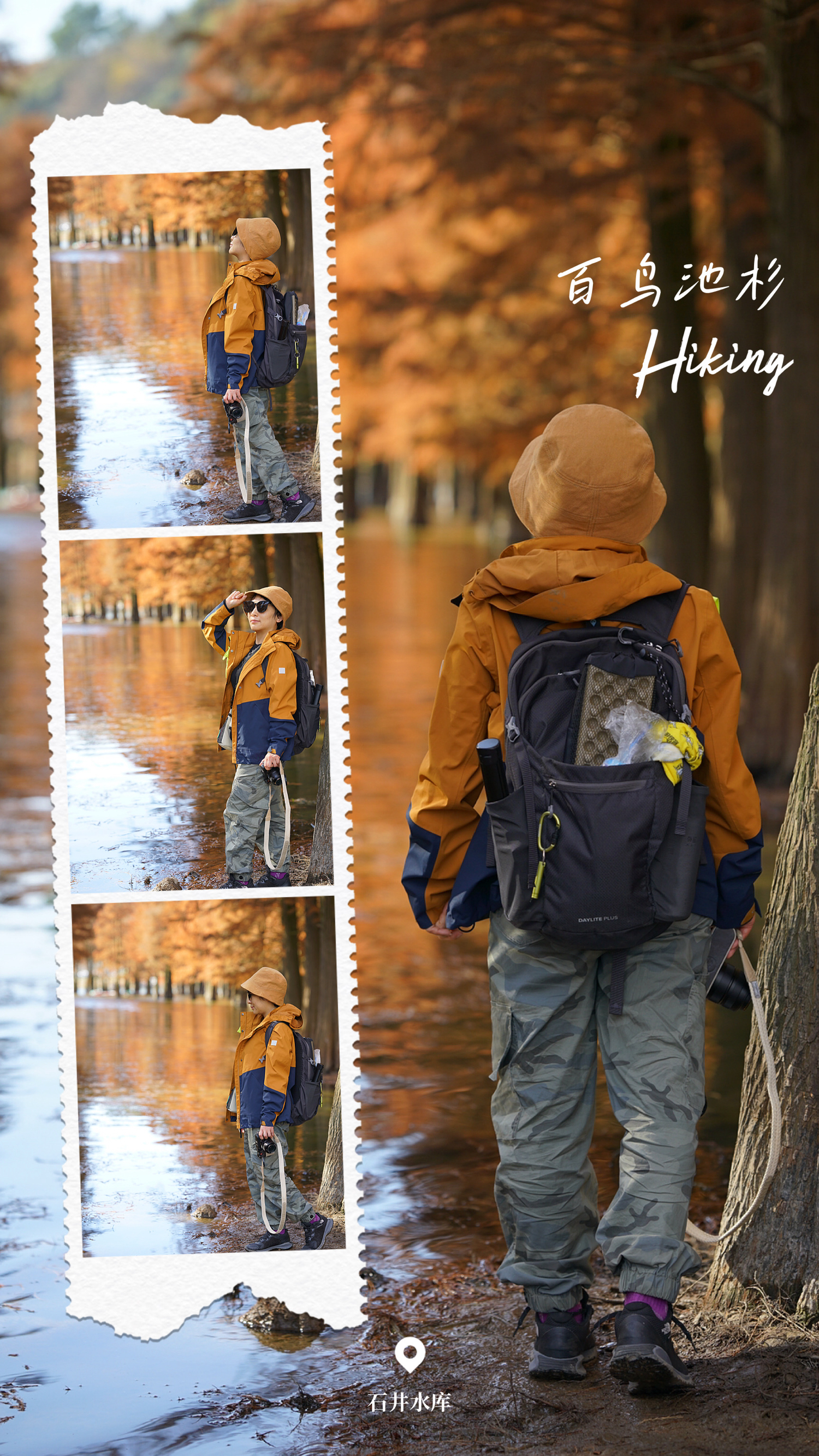 Hiking | 上虞石井水库·百鸟池杉&陶堰岭古道  冬已至，秋意正浓 江南的秋色总是更晚一些  