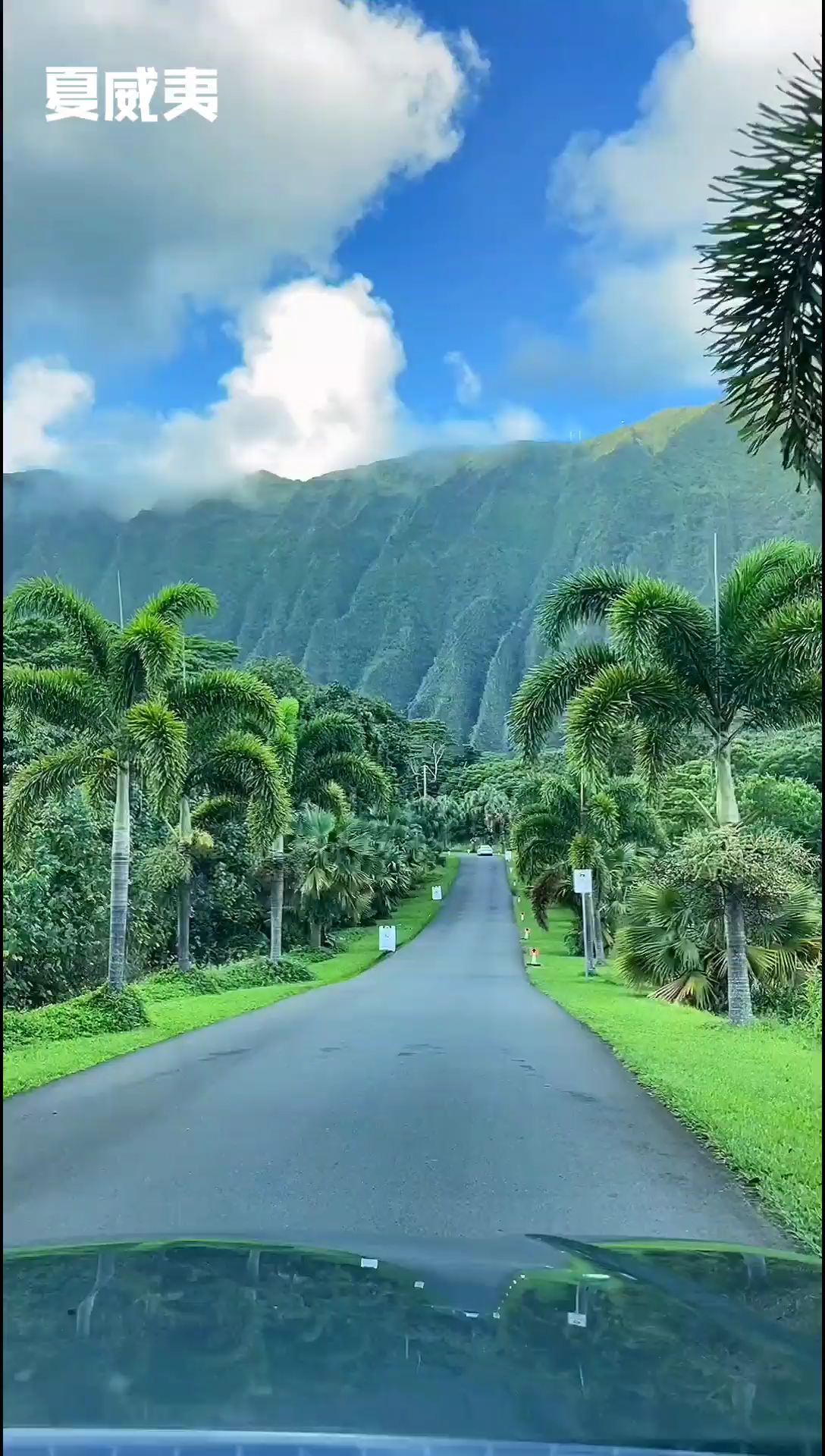 如果真的有天堂，一定就是夏威夷❤️#旅行 #最美公路 #夏威夷 #