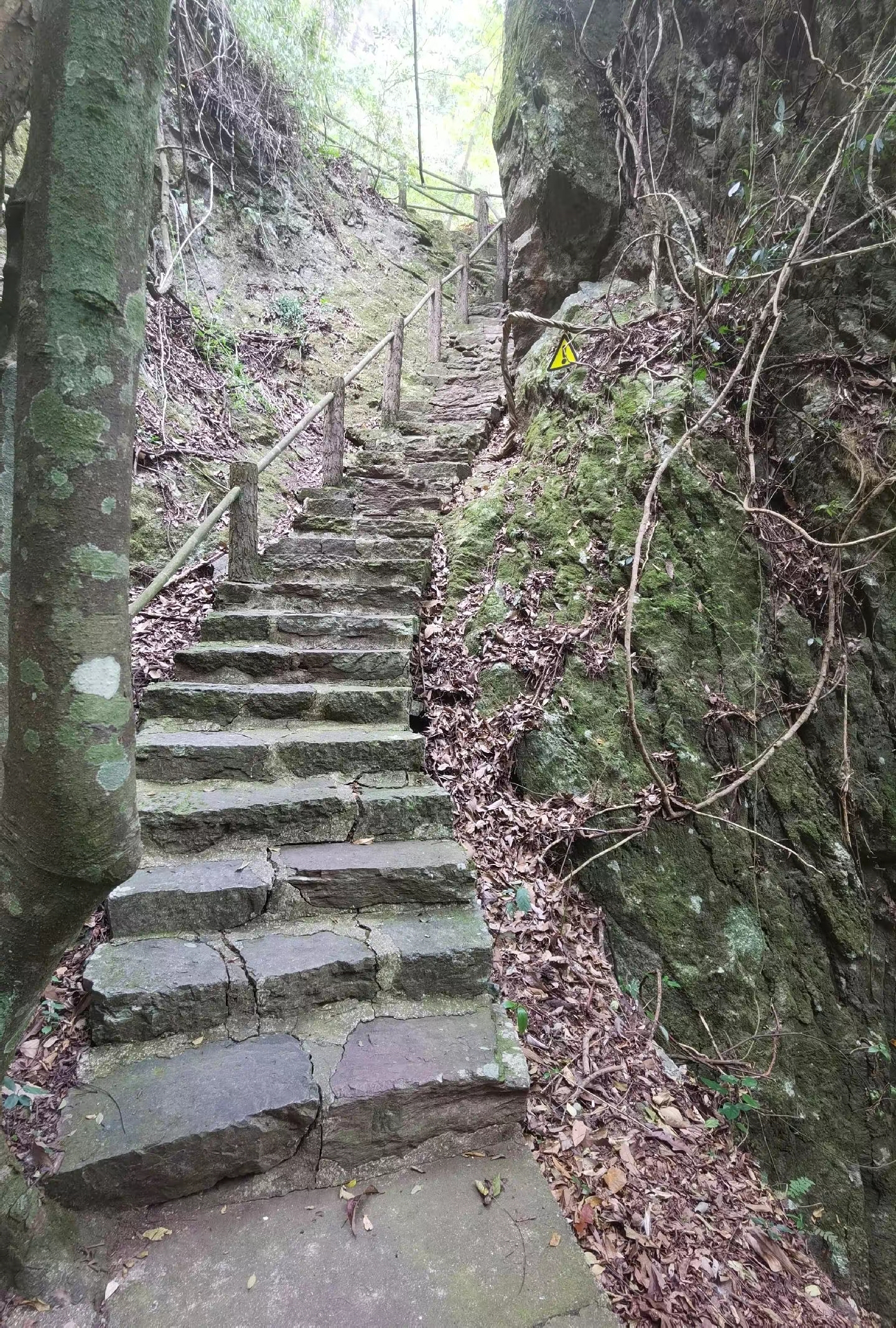 青云山的山路看着短短的，走走还是挺累人的