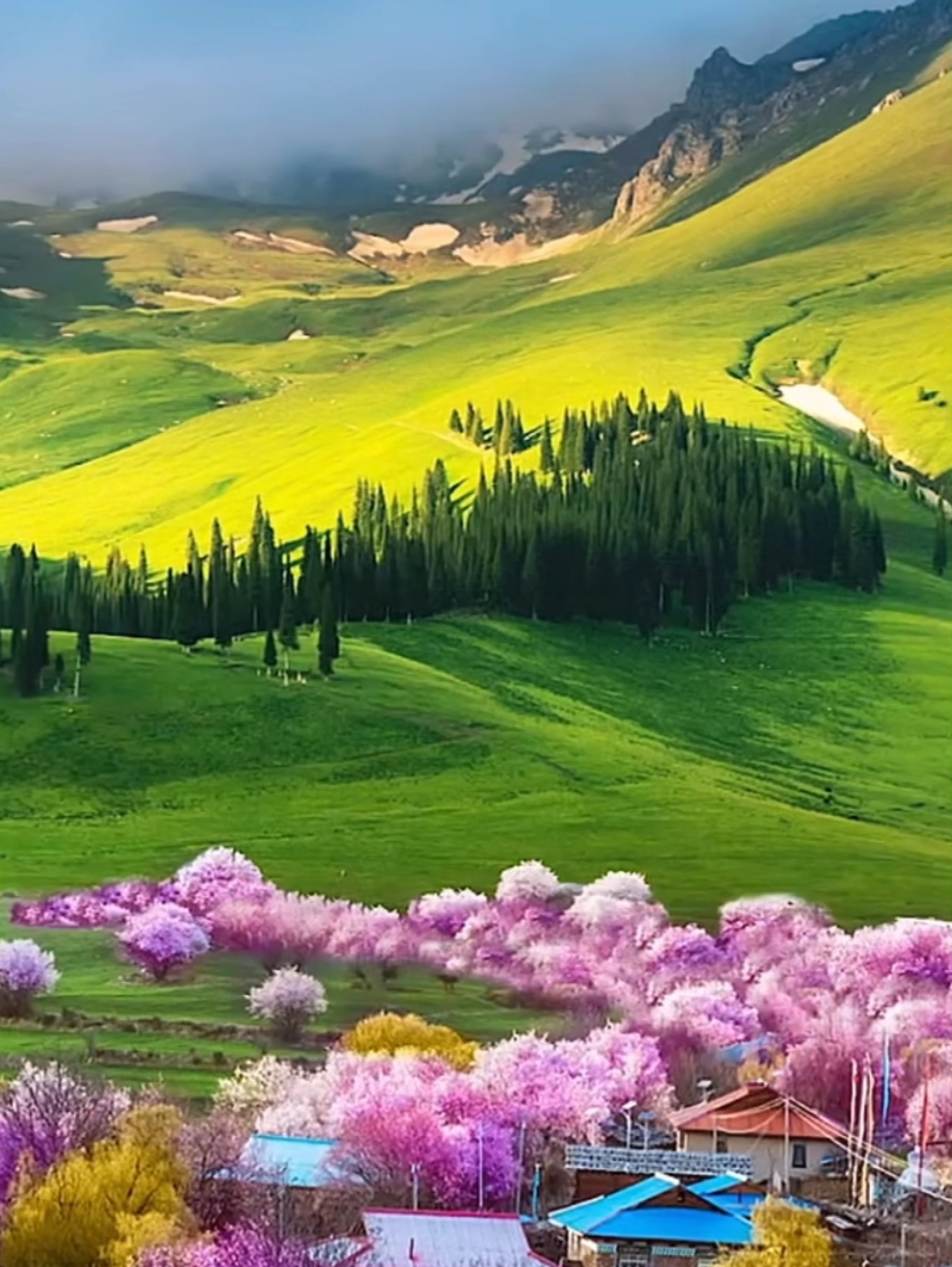 新疆也有天堂，我发现春光是一种药，最能给人疗伤
