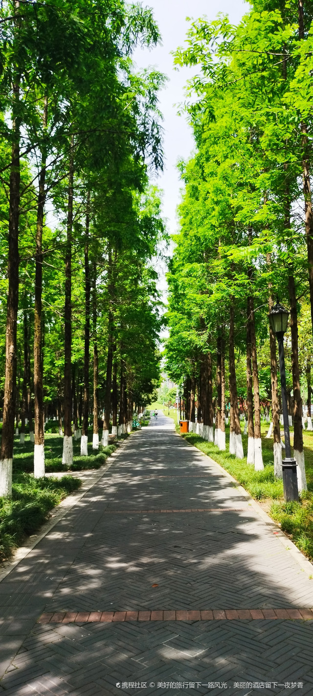 成都百仁城市文化公园花开景美