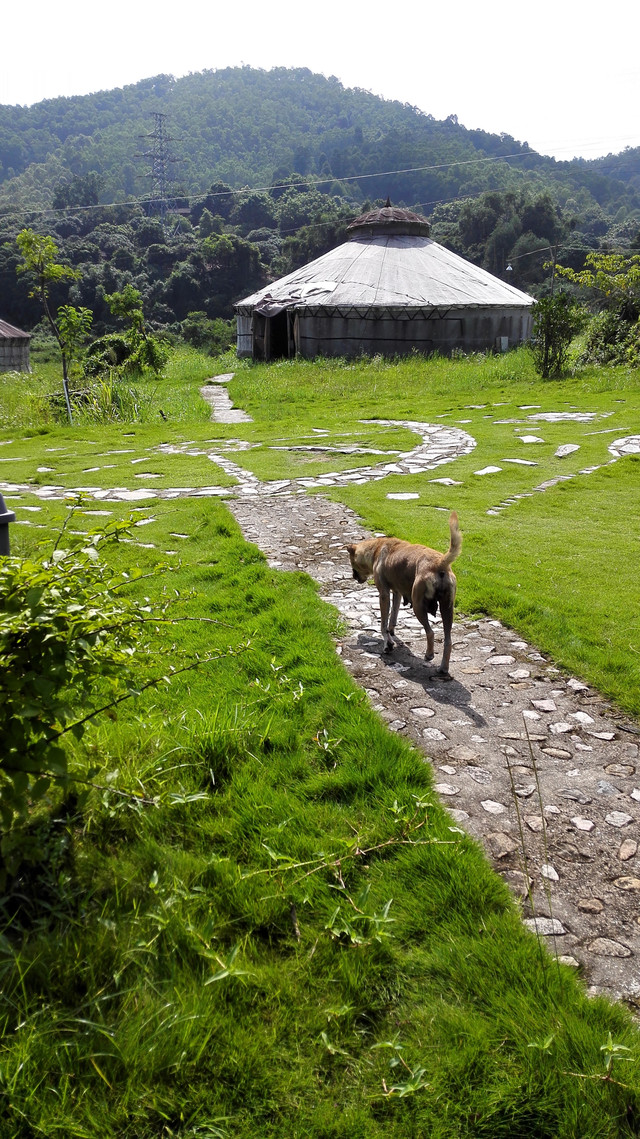 惠州三栋蒙古部落,草原气氛直接拉满骑马,射箭,篝火晚会,烤全羊香到流