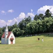 跳跳妈妈爱遛娃