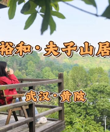武汉裕和夫子山居图片
