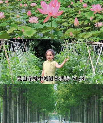 昆山花桥中城假日酒店图片