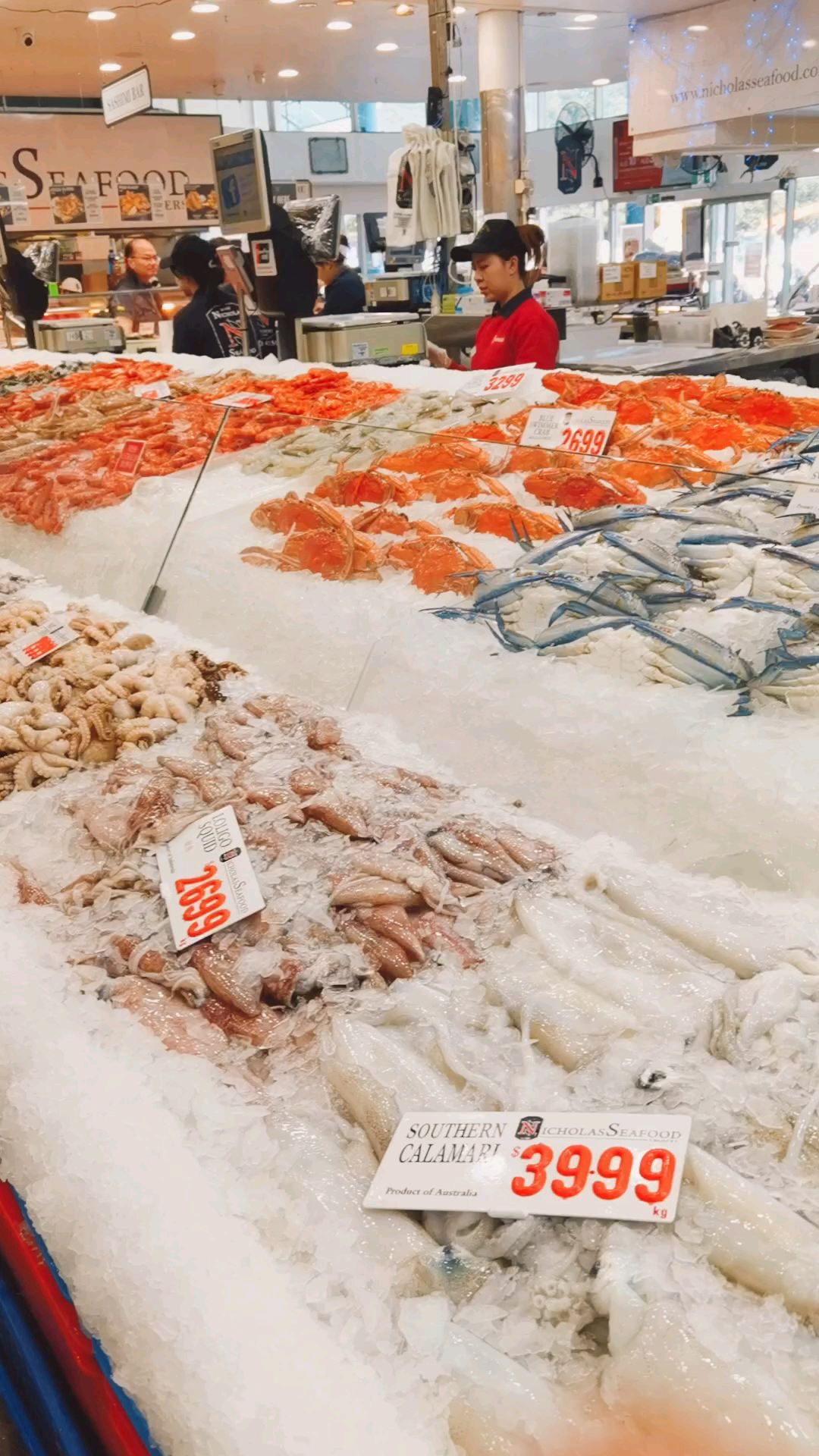 悉尼 鱼市场