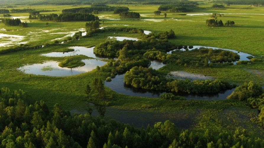 南瓮河国家级自然保护区是东北最大的森林湿地自然保护区。保存了完整的原始森林湿地生态系统，有原始森林、