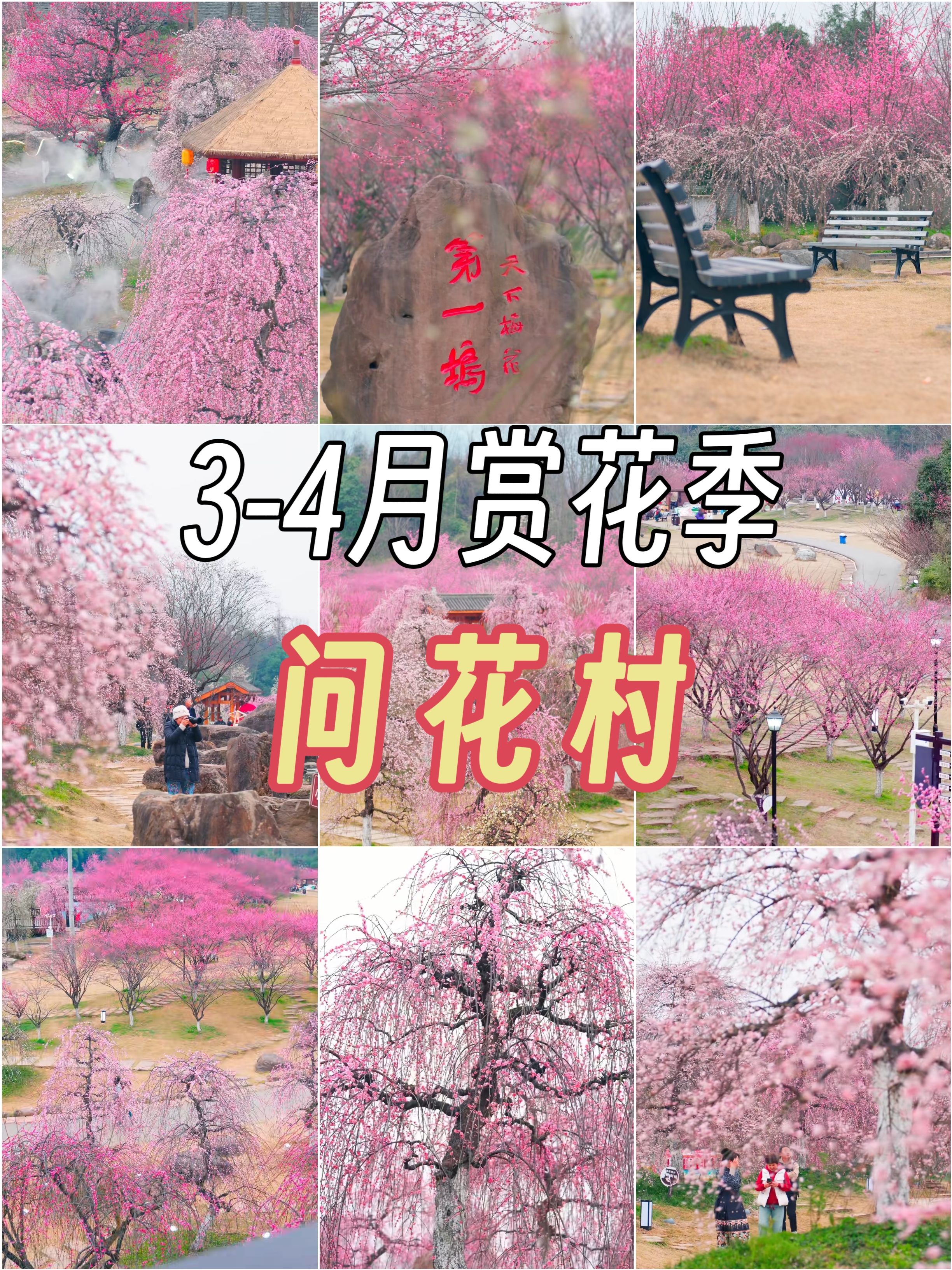 3-4月来问花村邂逅一场属于你的浪漫！