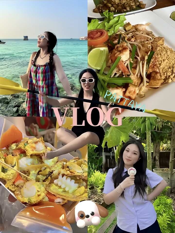Thailand Vlog｜泰兰德的快乐永不过期🥥
