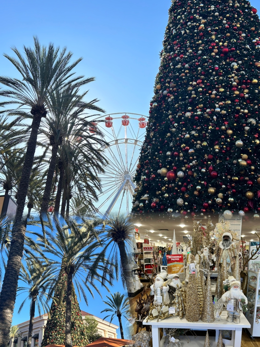 The Friendly Toast(Cambridge)餐厅图片