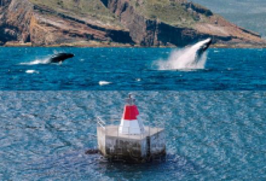 Raymonds Restaurant美食图片