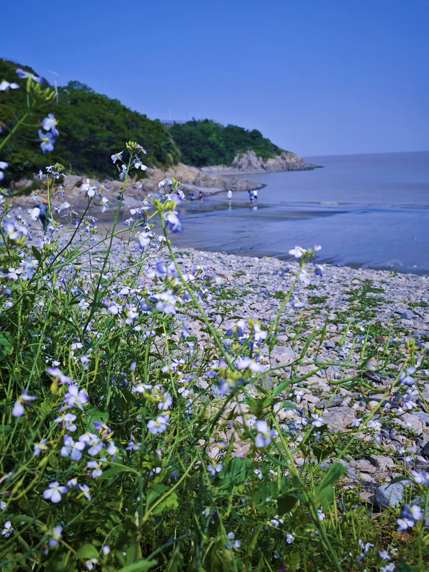 原製原味(岱山店)