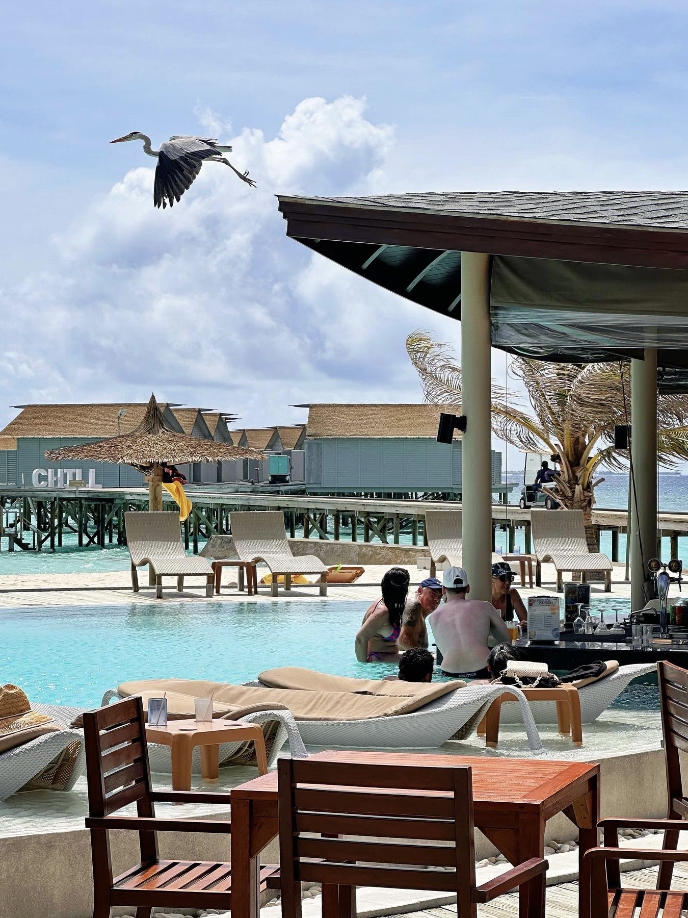 马尔代夫盛泰乐拉富士岛～美食分享之泰餐厅&意大利餐厅