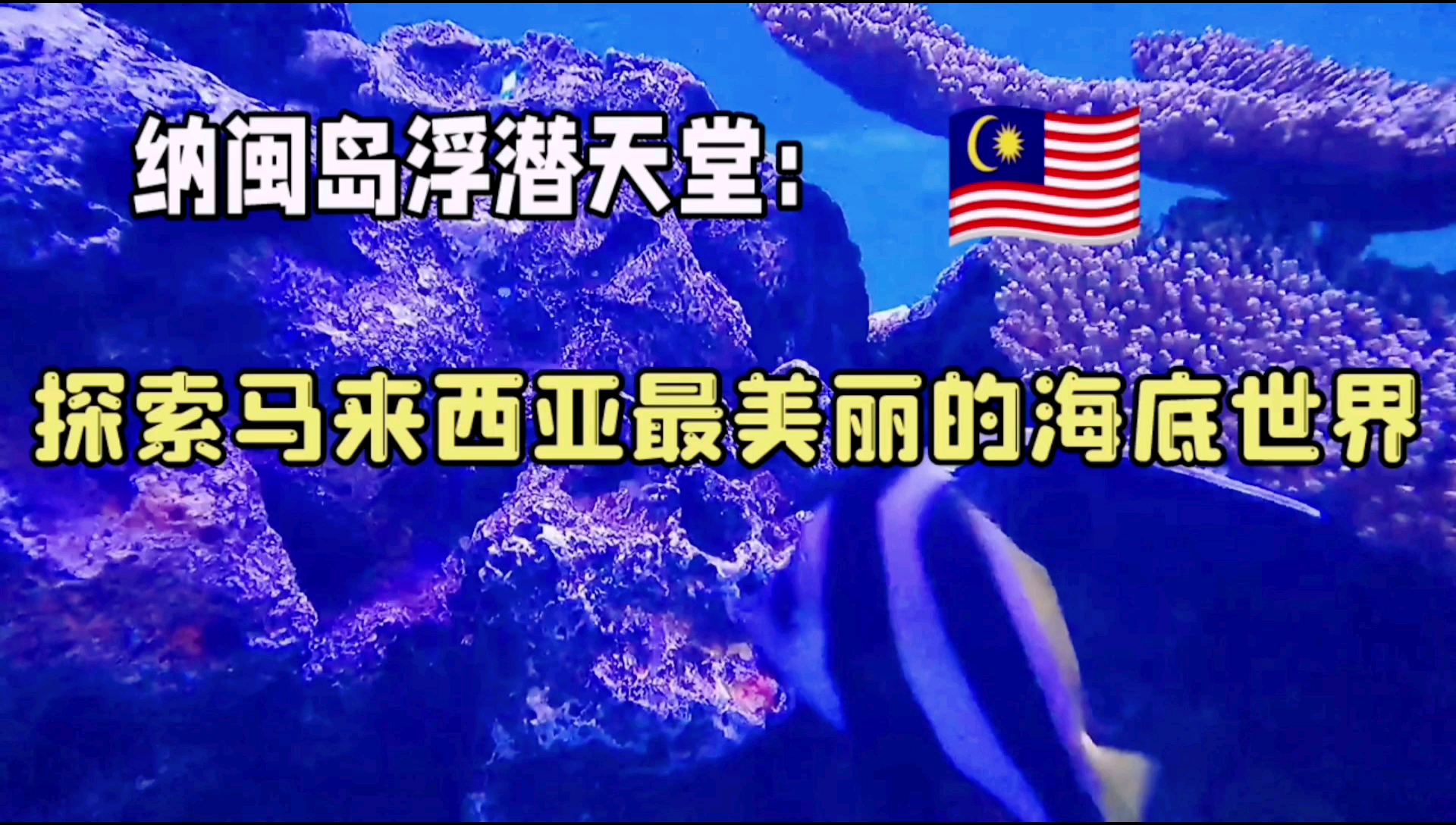 纳闽岛浮潜天堂：探索马来西亚最美丽的海底世界！