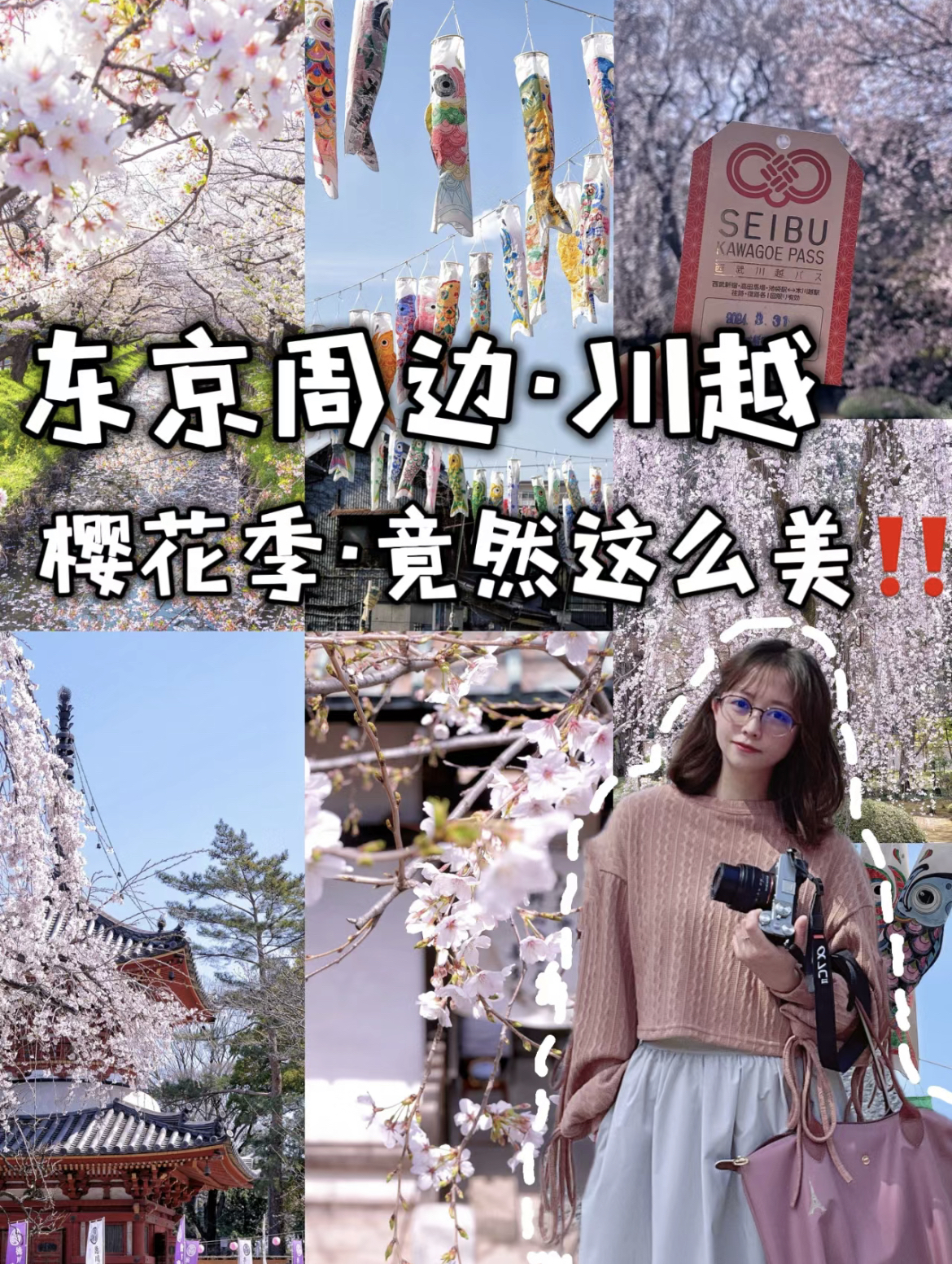 【🌸不敢想象】 日本·川越的樱花竟然这么美