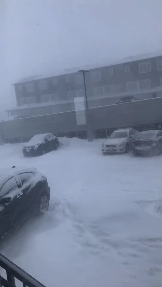 加拿大温尼伯冬天常态，暴雪连连