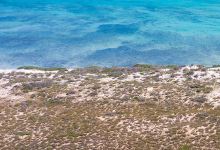 凯普山脉国家公园景点图片