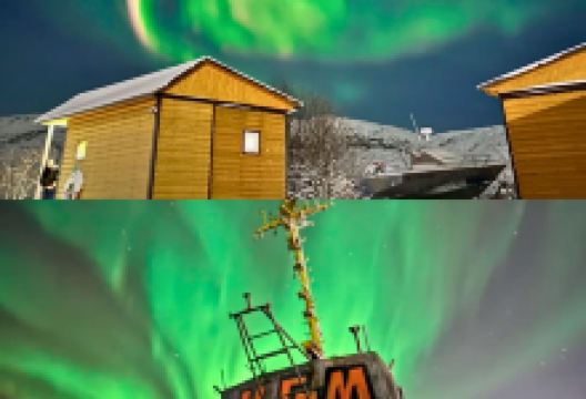 Polar Whale美食图片