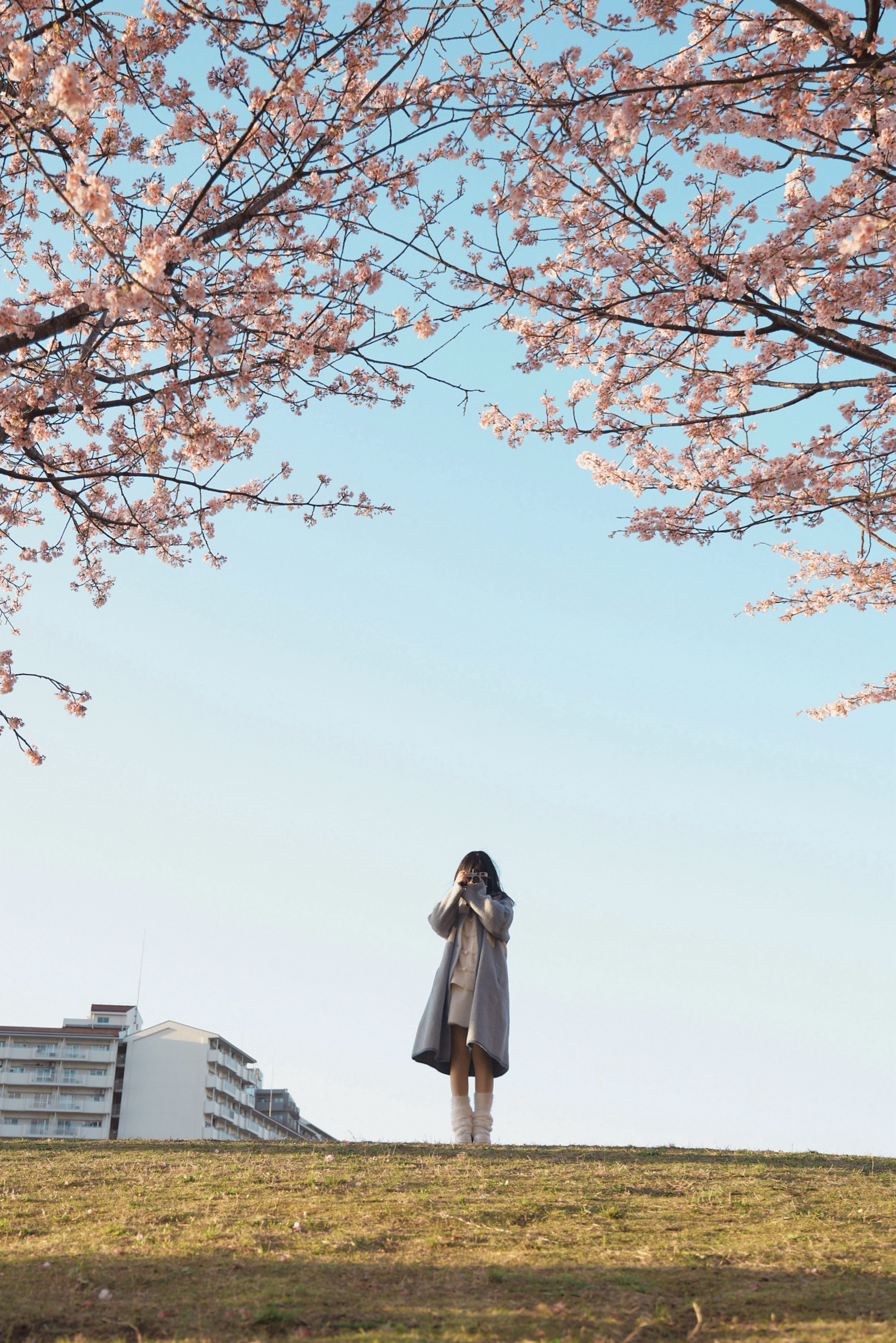 在东京汐入公园拍到了想要的樱花照🌸